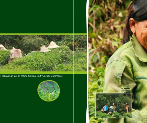 CARNET VOYAGE BD-12