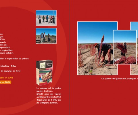 CARNET VOYAGE BD-6 copie