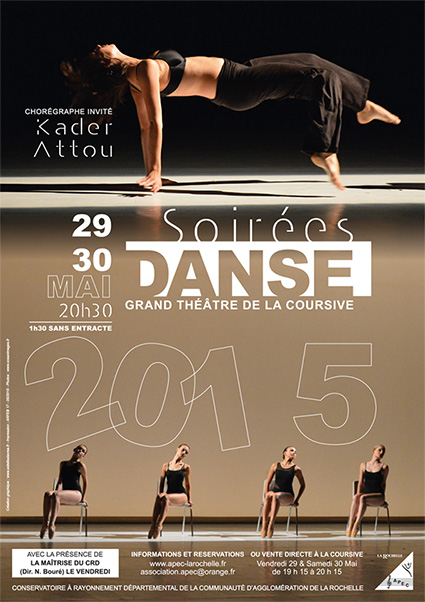 APEC 2015 DANSE