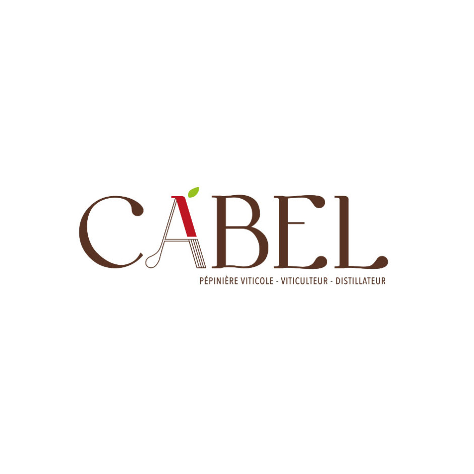 CVISITE BELLEBEAU & CARTE INFOS - BAG V°